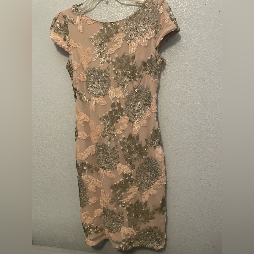 Calvin Klein Blush Dress with Sequin Accents